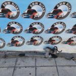 Κρεμαγιέρα ηλεκτρική - X1 F84 - Image 3